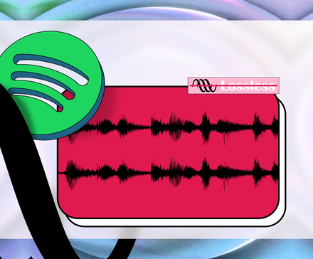 Illustration of the Spotify logo beside an audio waveform with the word Lossless crossed out.