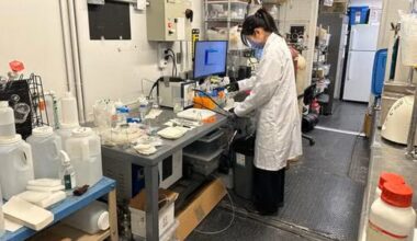 Multiple Types of Plastic Are Turned into Vinegar Using Sunlight-Powered Process Without Emissions