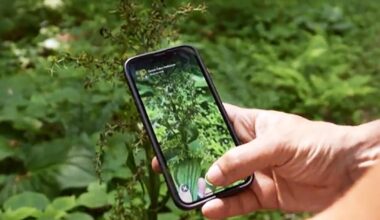 How iNaturalist app users have fun while aiding science