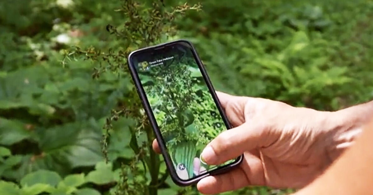 How iNaturalist app users have fun while aiding science