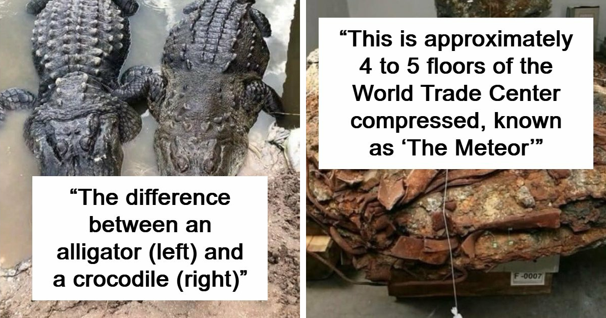 "Explaining The Wild": 59 Fascinating Nature Facts And Photos People Are Loving Online