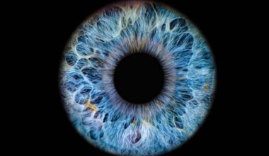 scan eyeballs to tie identity to AI agents • The Register