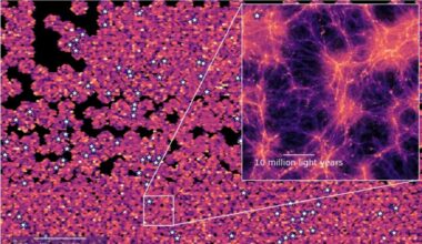 A series of blobs of pink and orange against a black background with a boxout in the top right zooming in on one of the blobs showing a neural network of sorts of purple and orange and pink