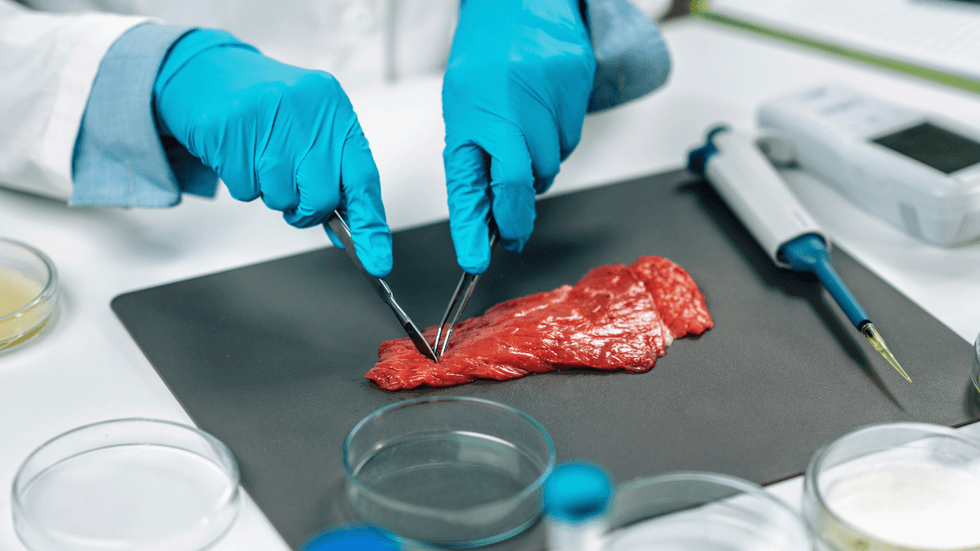 Lab grown meat