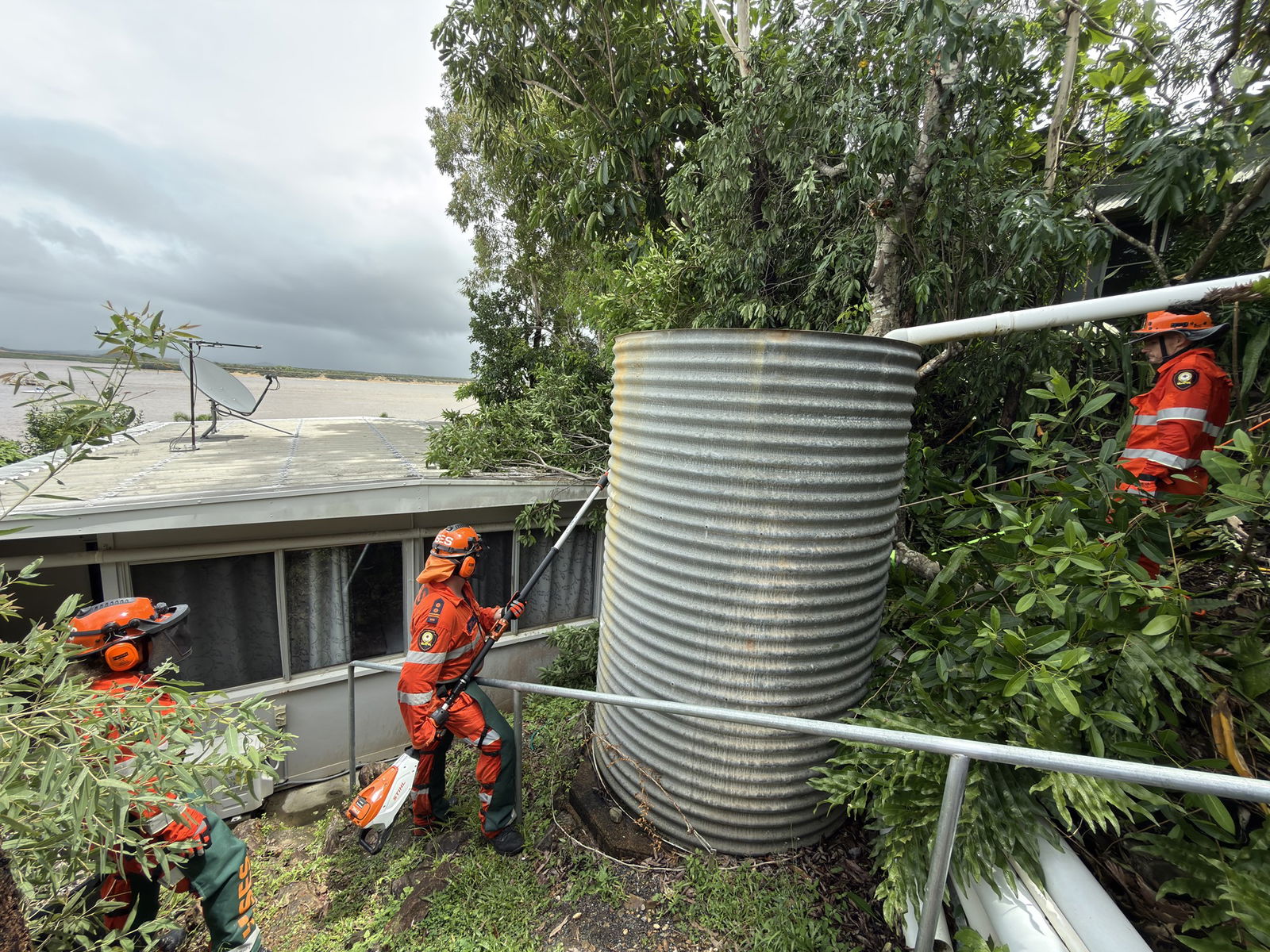 SES teams working to remove a tree from a roof
