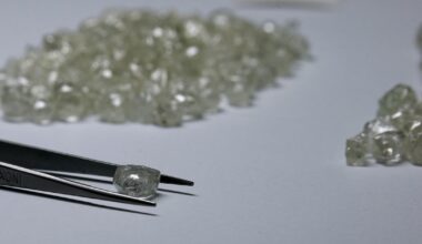 A $3.7 billion loss is pushing Botswana to look beyond diamonds