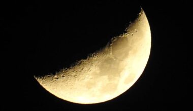 Starship may act as NASA's lunar taxi after Artemis V • The Register