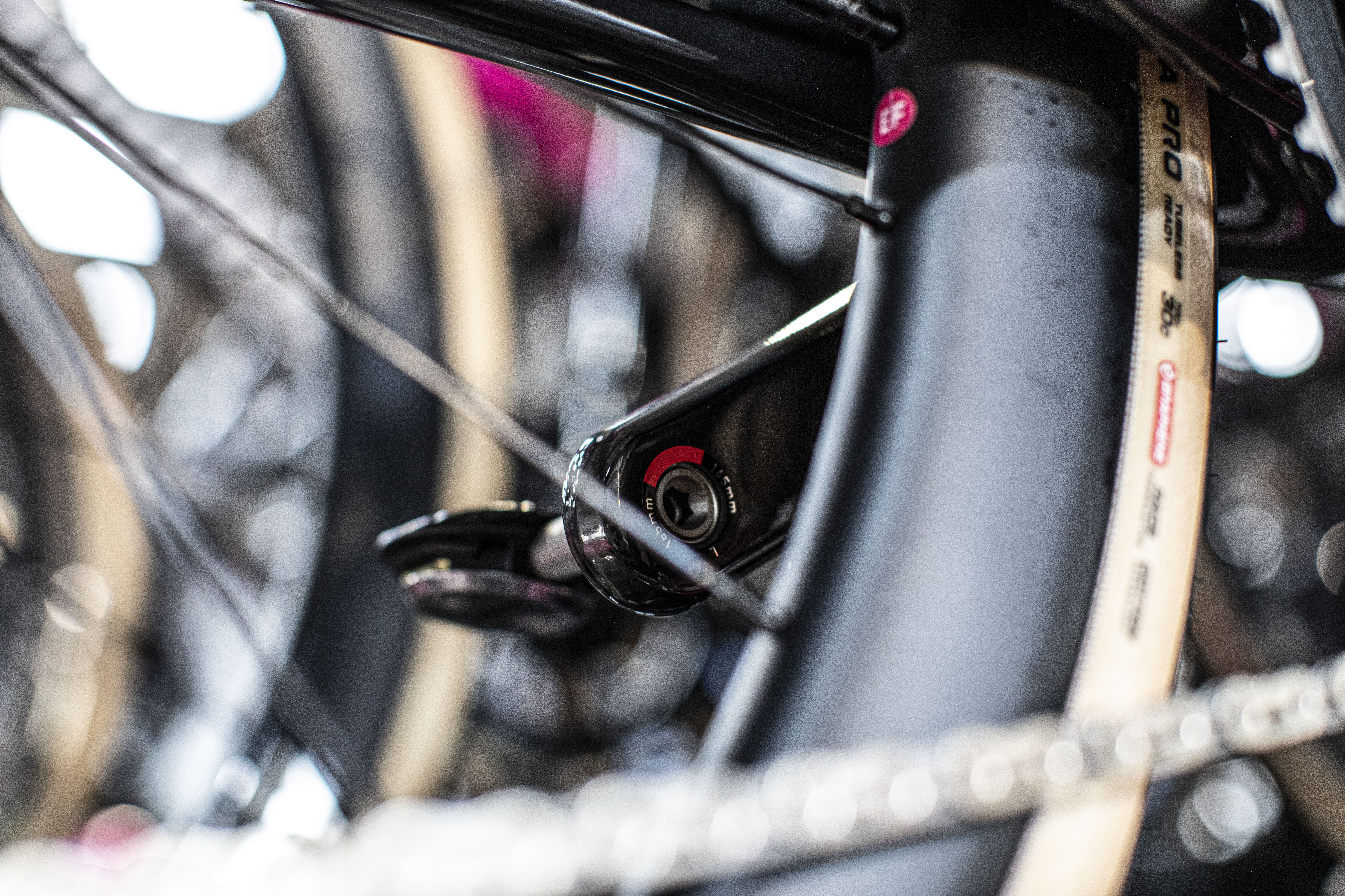 Opening Weekend 2026 Tech trends