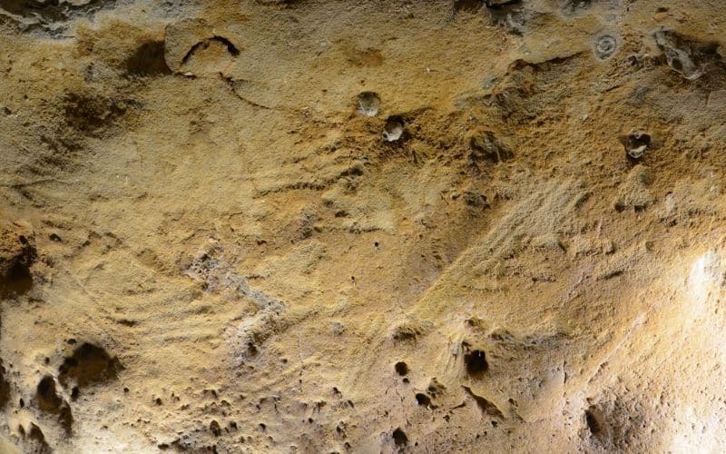 Neanderthals Created Europe’s Oldest Engravings 75,000 Years Ago