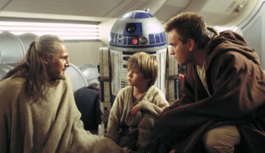 This is a decorative purple line to separate and organise content on the page.