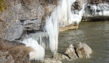 The Financial Costs of Schizophrenia