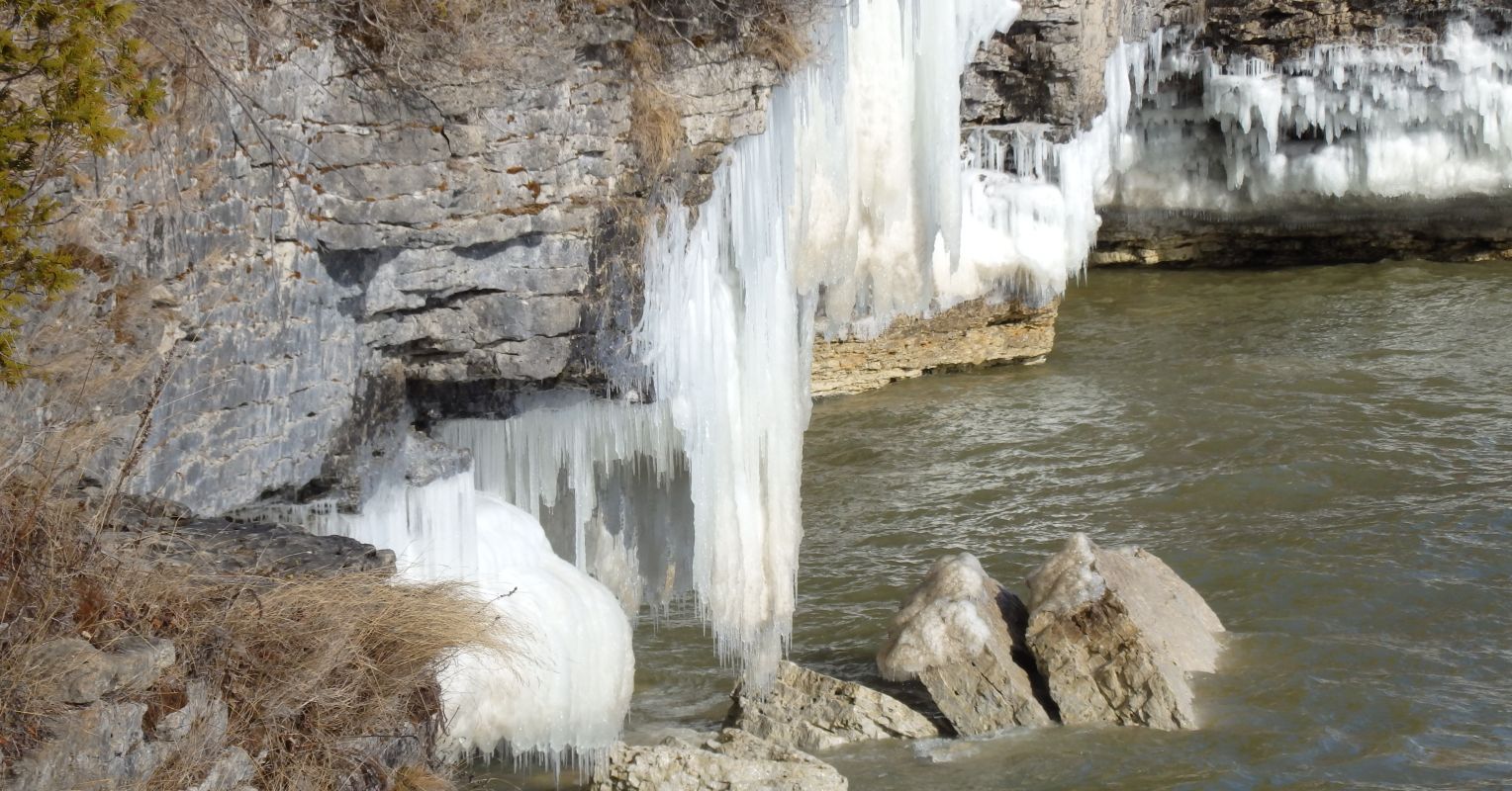 The Financial Costs of Schizophrenia