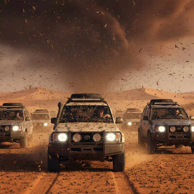 Desert, but not deserted: Who let the swarm out