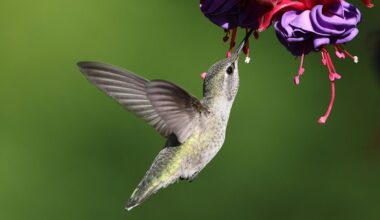 The Right Now: Hope in the Present Tense