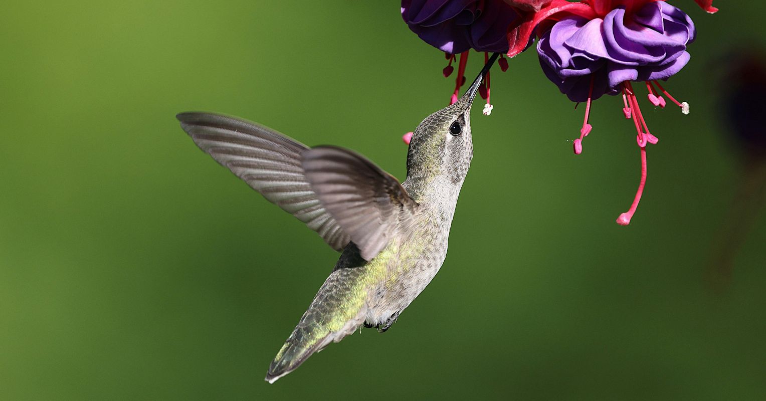 The Right Now: Hope in the Present Tense