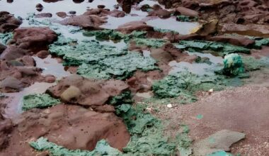 Green plastic rock formations spread across a rocky shoreline, showing fused plastic and sediment on a polluted beach