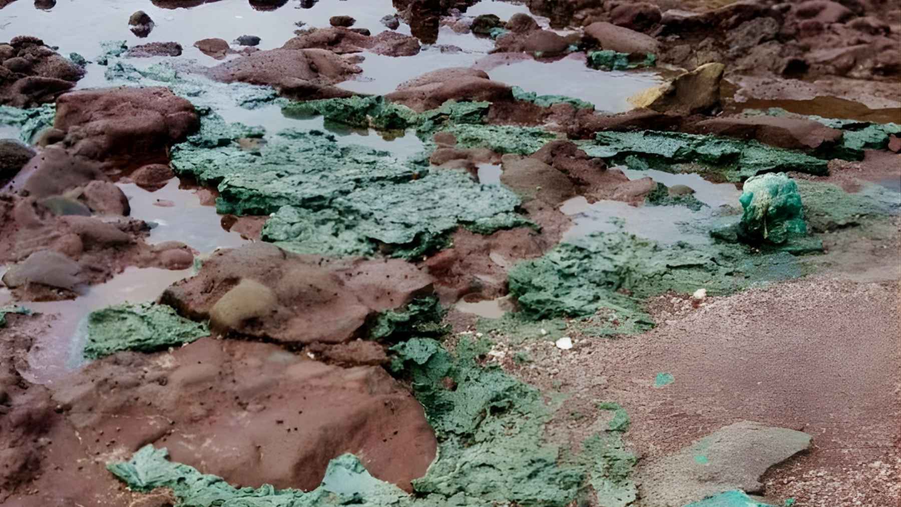 Green plastic rock formations spread across a rocky shoreline, showing fused plastic and sediment on a polluted beach