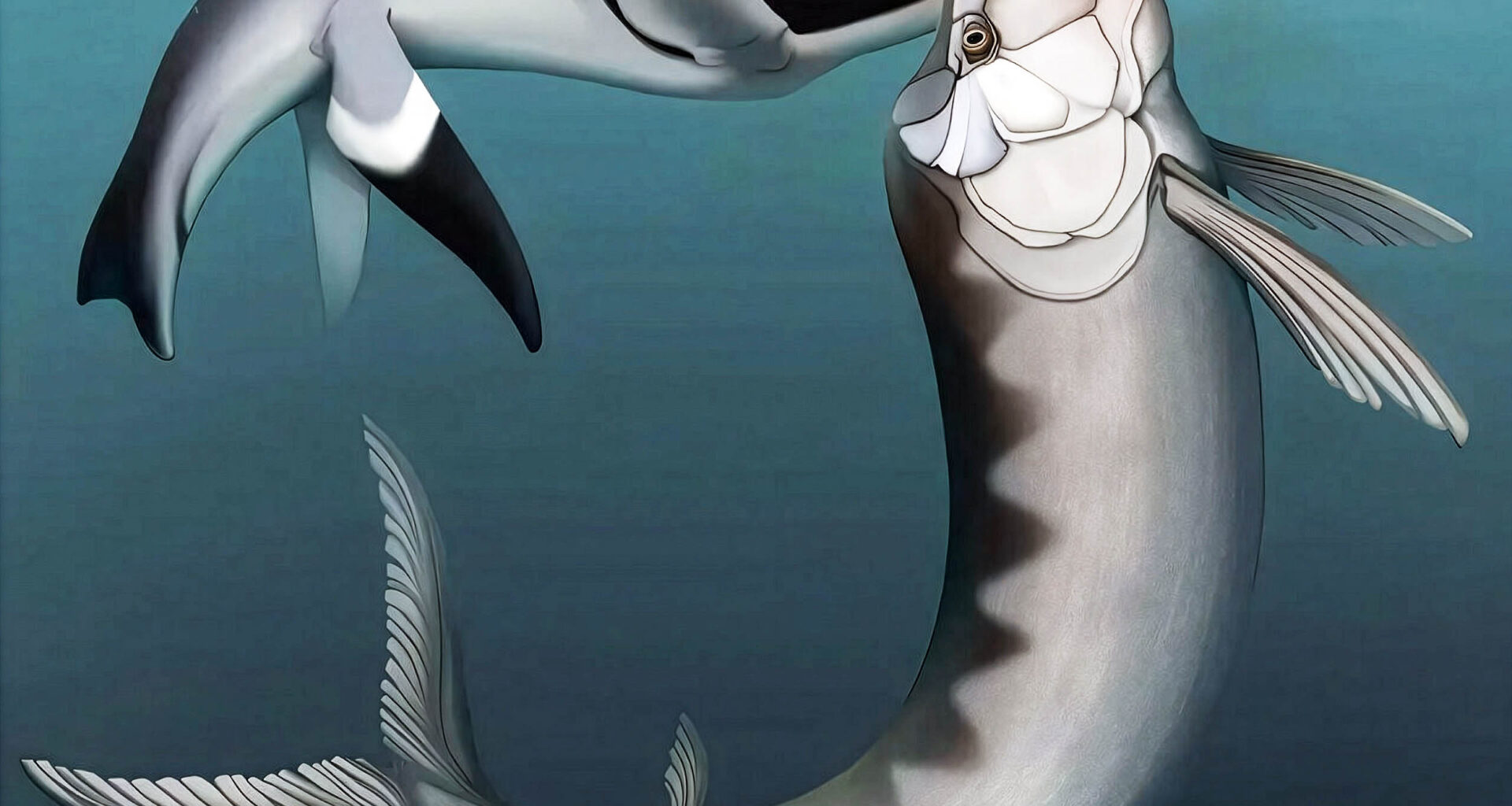 Ancient plesiosaur was taken out by an even bigger predatory fish