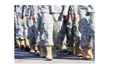 Building a Therapeutic Revolution: Veterans Lead the Way