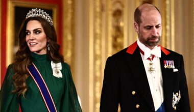 Kate and Prince William's State Banquet portrait unveiled