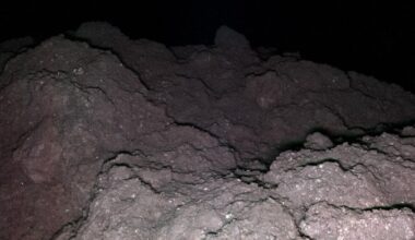 Asteroid Reveals The 5 Key Genetic Ingredients For Life on Earth : ScienceAlert