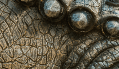 Scientists Find World's Oldest Fossilized Reptile Skin In Oklahoma Cave