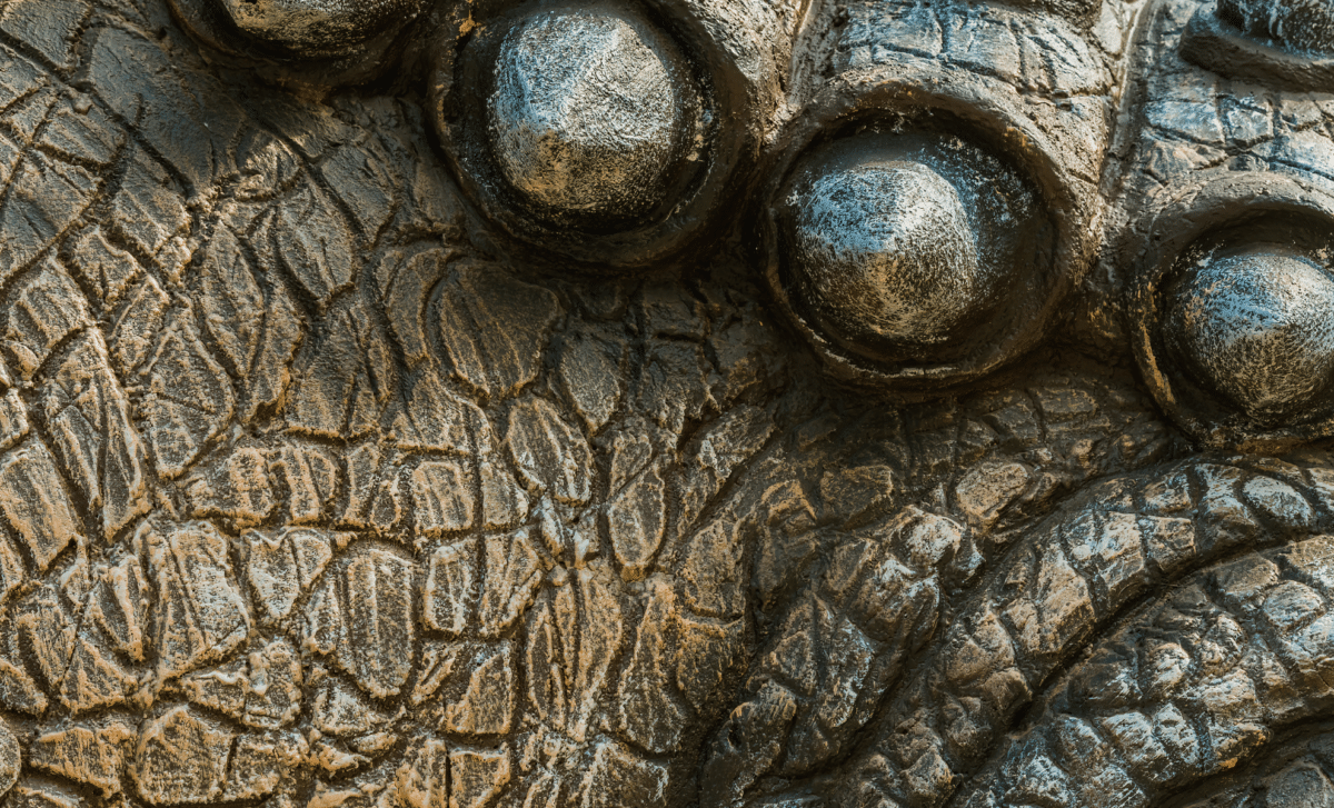 Scientists Find World's Oldest Fossilized Reptile Skin In Oklahoma Cave