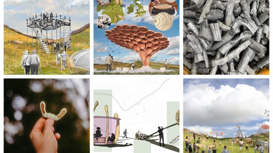 Sycamore Gap artwork contest shortlist revealed