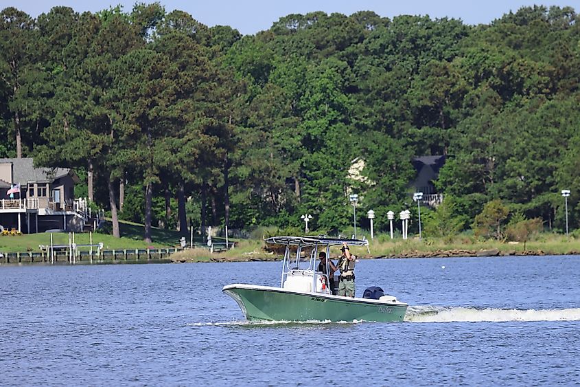 Park Rangers from First Landing State Park patrol Linkhorn Bay in their motorboat.