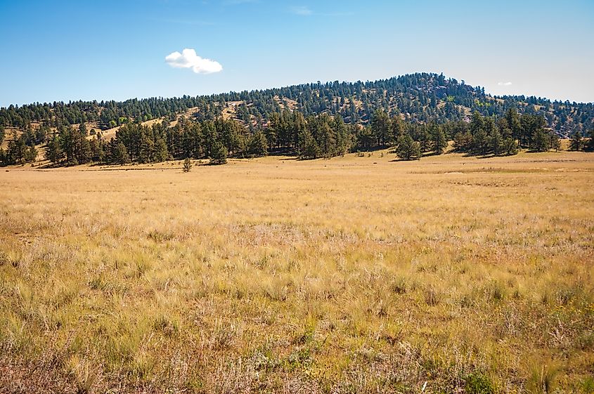 Florissant Fossil Beds National Monument in Colorado.