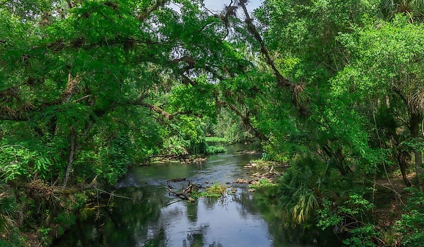 Hillsborough River State Park in Tampa, Florida.