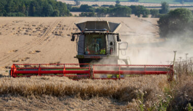 UK Food Security: Building a Resilient System