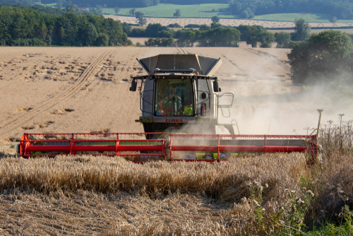 UK Food Security: Building a Resilient System