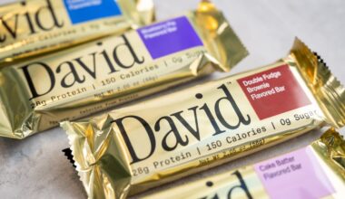 Four Flavor Options for Protein Bars from David's Protein.
