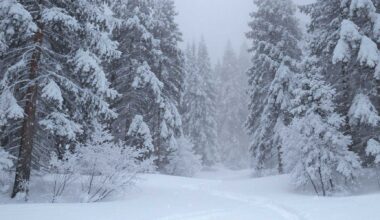 bring AI to data, not vice versa • The Register