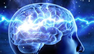 Cardio Workouts Generate "Brain Ripples" Linked to Memory