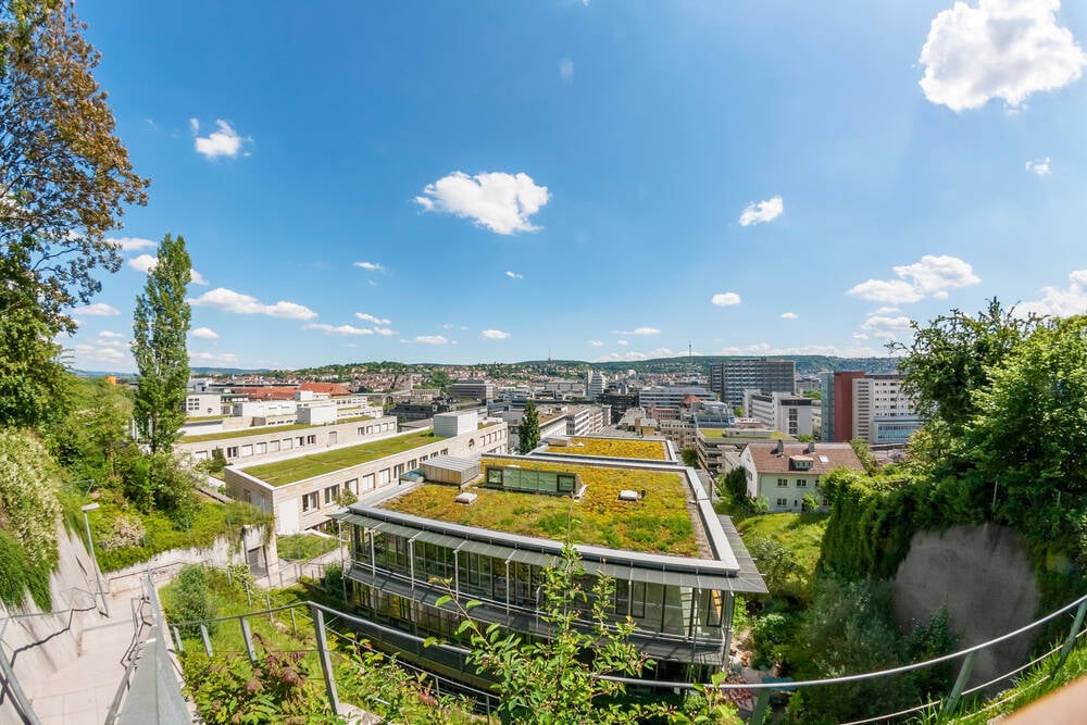 HPE adds Blackwell, Rubin systems to Nvidia-backed AI push • The Register