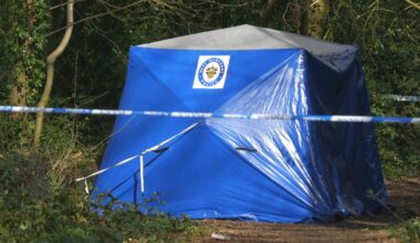A forensics tent has been set up at the scene