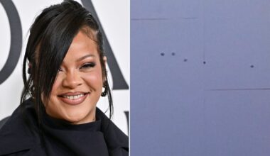 Woman arrested on suspicion of attempted murder after shots fired at Rihanna's LA home | US News