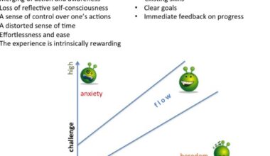 Flow and Other Secrets to a Happy Life