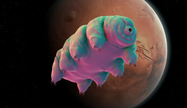 One Simple Trick Could Help Tardigrades Survive in Martian Dirt : ScienceAlert