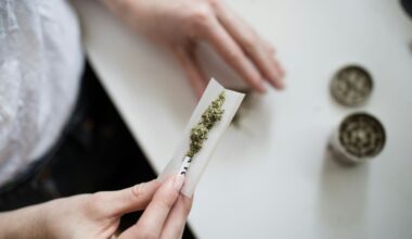 New Reasons to Think Twice About Cannabis