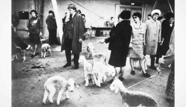 Council's Decision to Sell Influential British Photographer's Archive Roundly Criticized