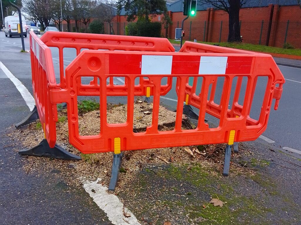 Tree cut down on Ringwood Road during cycle lane works, Poole