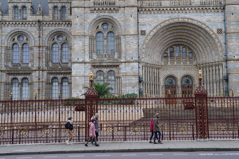 \u200bThe Natural History Museum