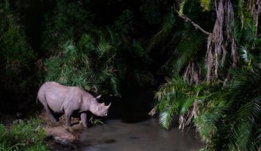 430,000 images later, these 30 pro photographers compete for one of the industry's top honors