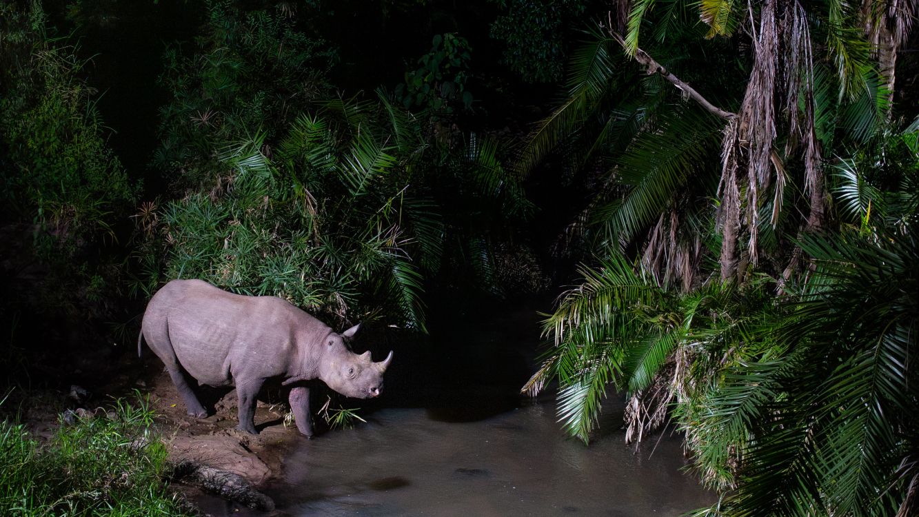 430,000 images later, these 30 pro photographers compete for one of the industry's top honors