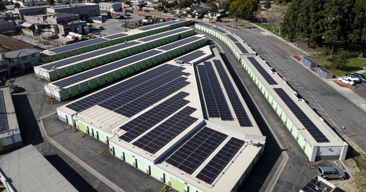 Renewable energy defies Trump’s attacks, reaching a new record