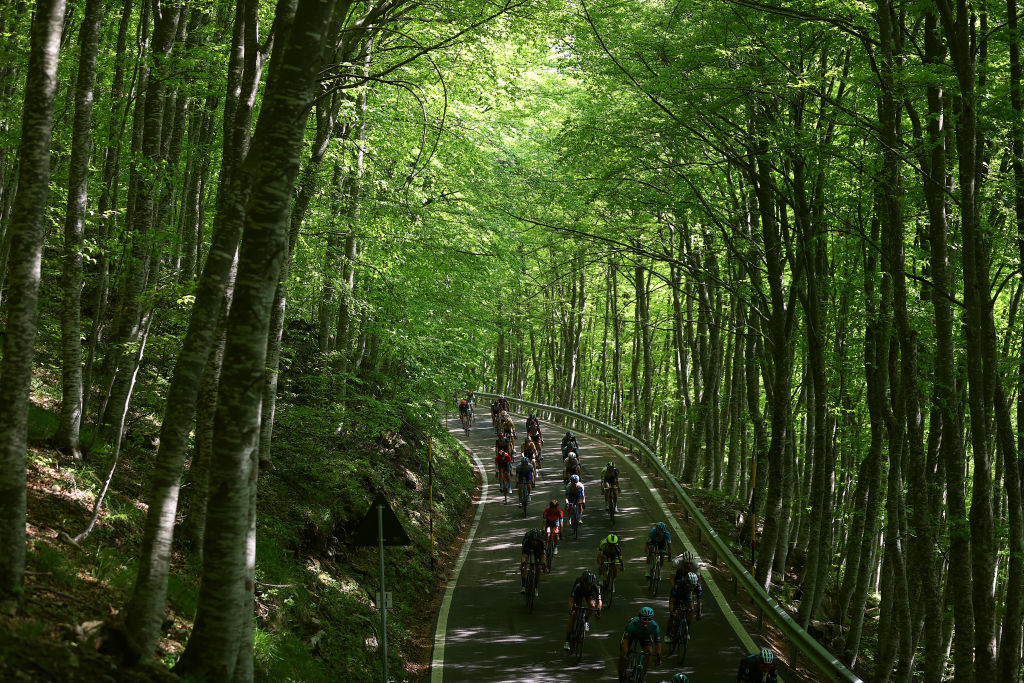 A Giro d'Italia stage passes through the beechwoods in the Blockhaus' lower slopes in the Majella National Park