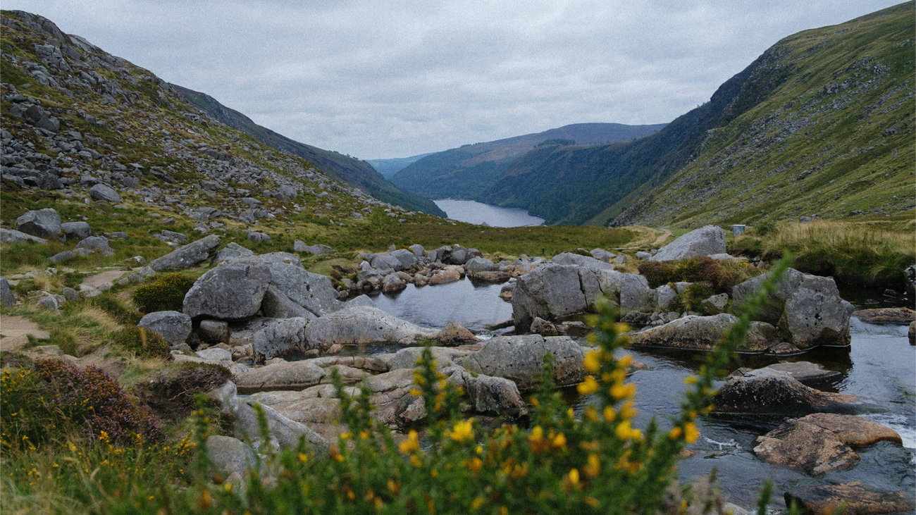 Google’s 2026 Water Stewardship Portfolio